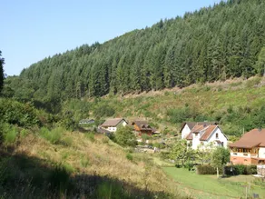 Ventron Chalet with Hill Views - Image 3