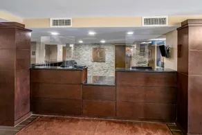 Comfort Inn & Suites St. Pete - Clearwater International Airport - Image 3