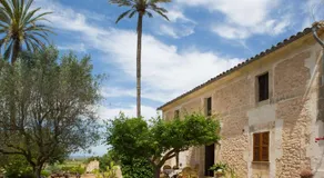 Es Pla de Llodra - Image 5