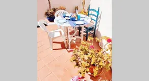 CASA DA ZECA, GARAGEM GRATUITA, COSTA NOVA - Image 3