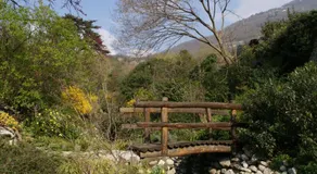 Tra Cielo e Lago - Image 5