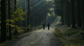 Zimmervermietung-Heide-Fiege - Image 5