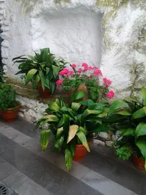 Apartamentos Santa Ana - Image 5