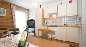Modern apartment with garden near the Petzen ski area in Eberndorf Carinthia - Image 3
