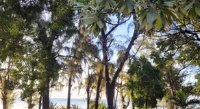 Villa Serenity Seafront with Tropical Gardens by Serenity - Image 3