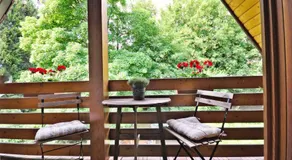 Pension Trautheim - Am Stadtpark - Image 5