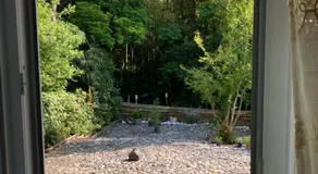Guest House Maxim - Image 5