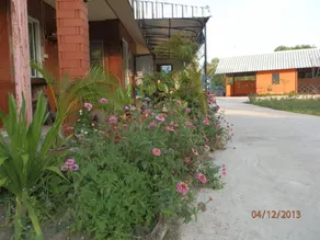 Wang Tanam Resort - Image 5