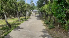 La Albarina - Image 5