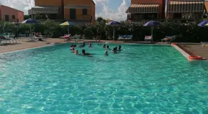 Stella marina - Image 4