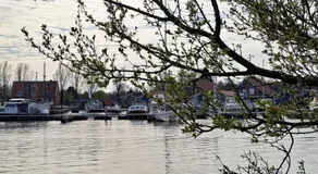 Ferienzimmer Balou - Image 4