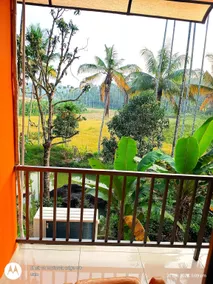 Goldenpeak Estate-Homestay-3Bed-A frame Holiday Home - Image 4