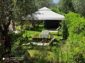 Appartamenti in Villa - Image 4