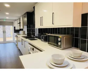Townhouse PLUS @ Lower Beth Street Stoke - Image 5