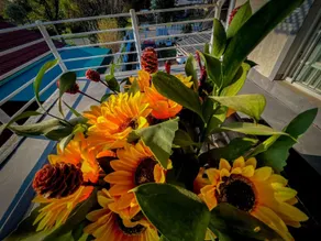 Rest Inn C Guesthouse - 10min from OR Tambo Airport - Image 5