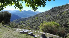 Casa Limón - Alpujarras - Image 3
