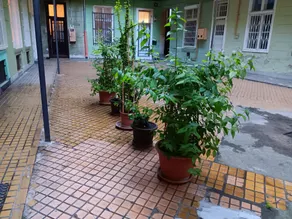 Budapest Belvárosi Stúdió. A belváros központjában - Image 3