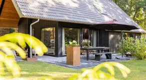 Midden In De Bossen Bij Schapendrift 29 - Image 5