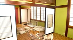 高岡ゆるり家 Yururi-Ya - Image 2