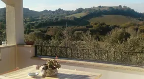 B&B PIBITZOI - Image 4