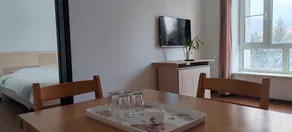 Yabuli Ski Resort Boutique Apartment - Image 2