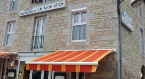 le lion d'or - Image 4