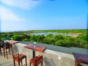 Cinnamon Wild Yala - Image 3