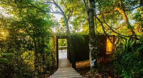 A Casinha da Floresta - Image 4