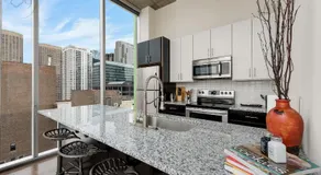 Jeffjack Heated Pool Penthouse in Chicago's West Loop - Image 2