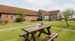 Oak Tree - Image 5