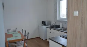 Erra Puiestee Apartment - Image 4