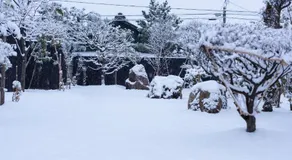 こもる五所川原 - Image 4