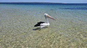 Serenity at Island Beach - Image 3