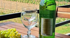 Grapeline Guesthouse - Image 5