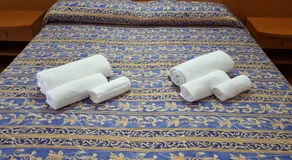 Hotel Saponi - Image 2