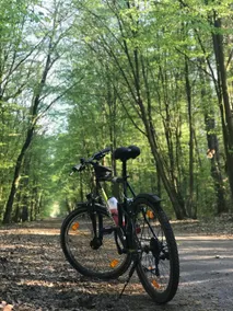 Apartment150qm Families,Groups,Workers near Berlin - Image 3