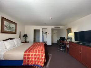 McLure House - Image 3