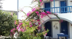 Aloni - Image 4