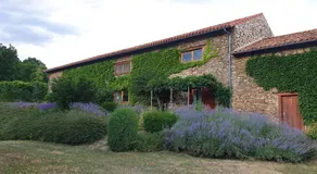 L'Estivante - Image 4