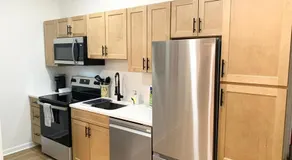 Lavish Luxe 2BD-1BA apartment in Federal Hill - Image 3