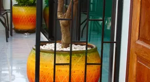 Tea Moon Boutique Stay - Image 2