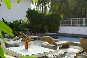 Bougainvillea - Image 2