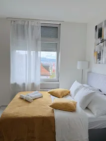 Zurich Central Brand New Apartment - Image 5