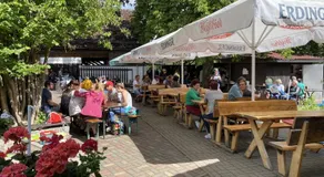 Pension Unter der 250 jährigen Eiche - Lehde Zentrum - Image 4