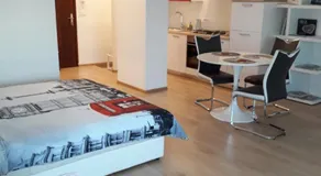 APARTMAN MMVG STUDIO Zagreb Airport - Image 2