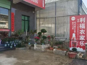Lifu Farm stay - Image 3
