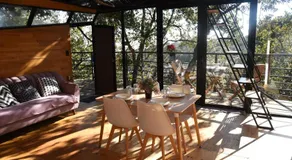 Cabaña Gokotta, Punta del Bosque - Image 4