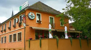 Grüner Baum - Image 1