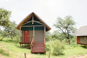 Lion Roars Lodge - Image 4