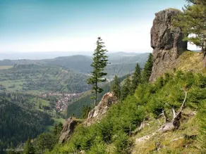 Casa de vacaciones en Hermannsberg, Oberschönau - Image 5